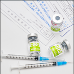 一年以内の混合ワクチン・狂犬病予防接種証明書