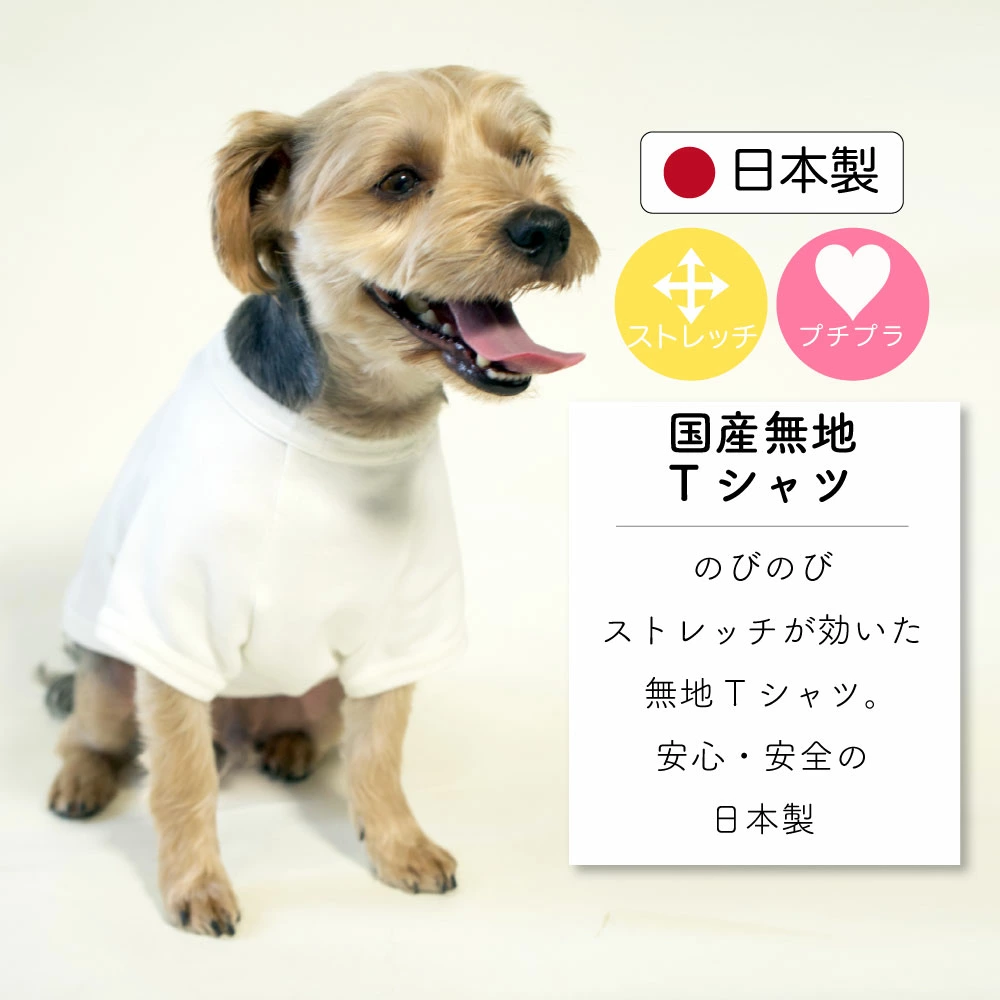 【春夏犬服！】プチプラtシャツ_image